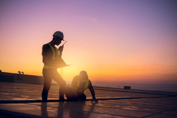 Best Chimney Flashing Repair  in Wenona, IL