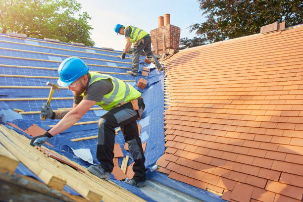 Best Gutter Installation and Repair  in Wenona, IL