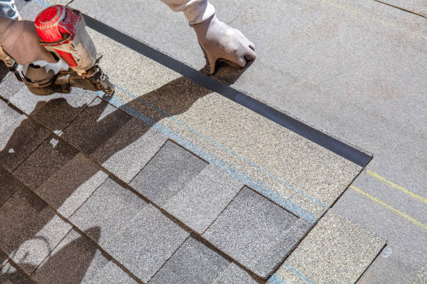 Best Solar Panel Roofing Installation  in Wenona, IL